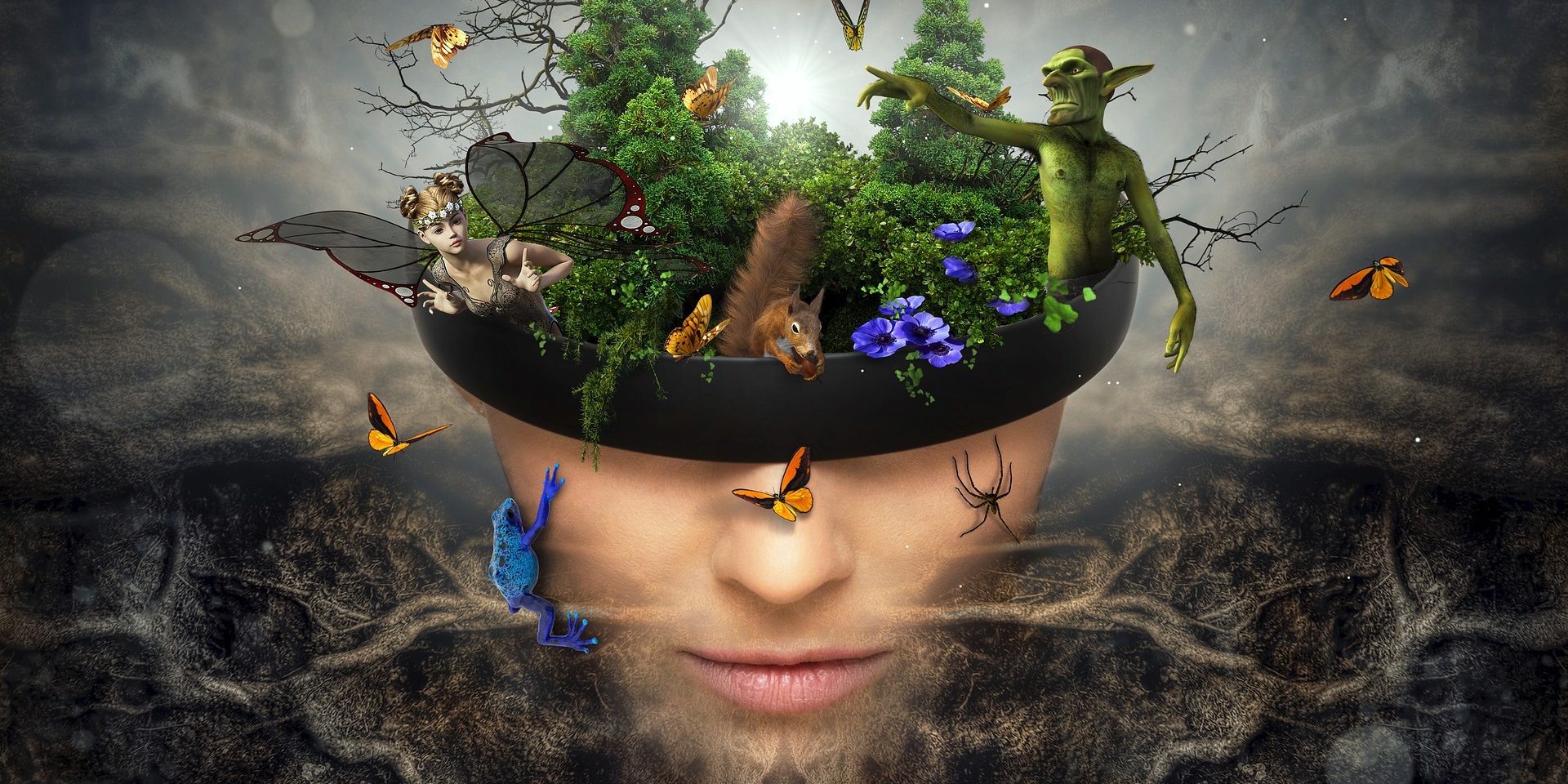 Fases del sueño fases del sueño