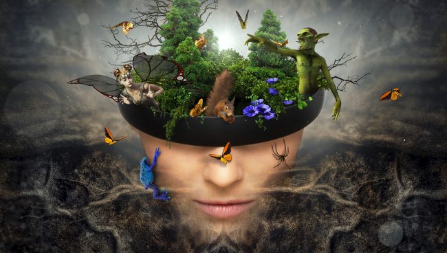 Fases del sueño fases del sueño