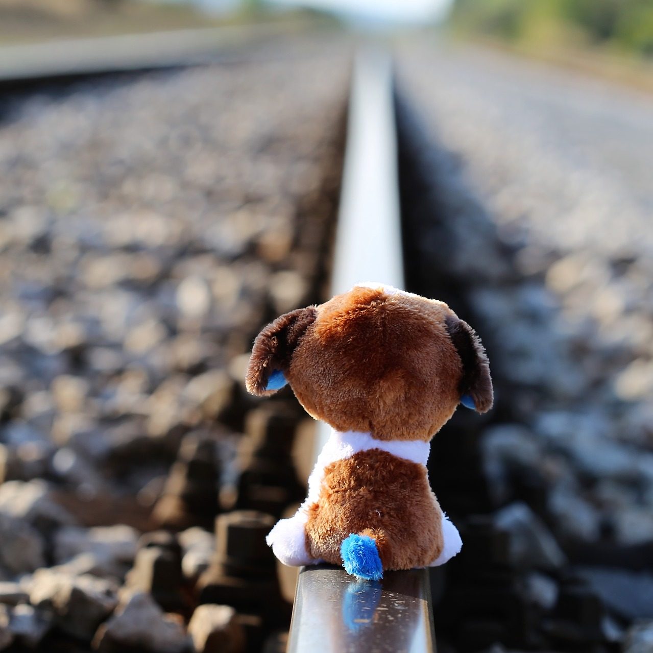 Ayudar a tu hijo a superar el acoso Ayudar a tu hijo a superar el acoso