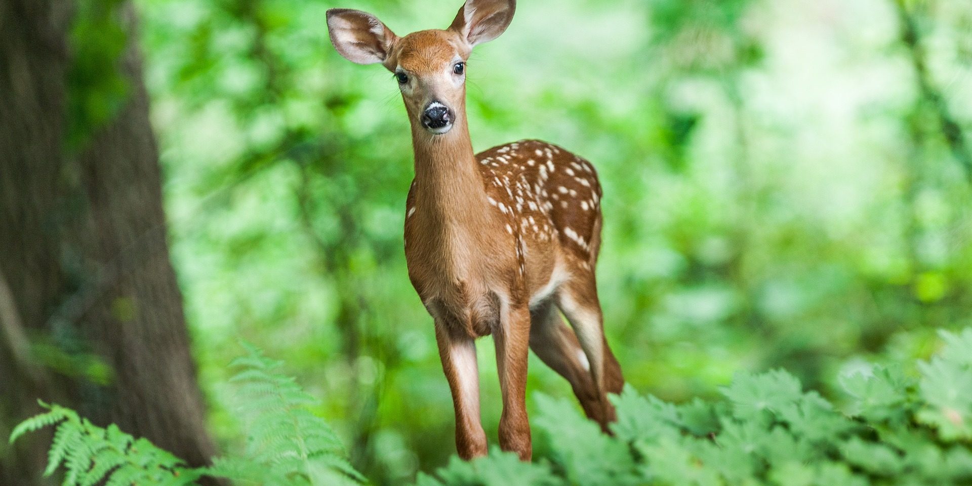Respuesta a la vida - La Verdad en Ti mismo