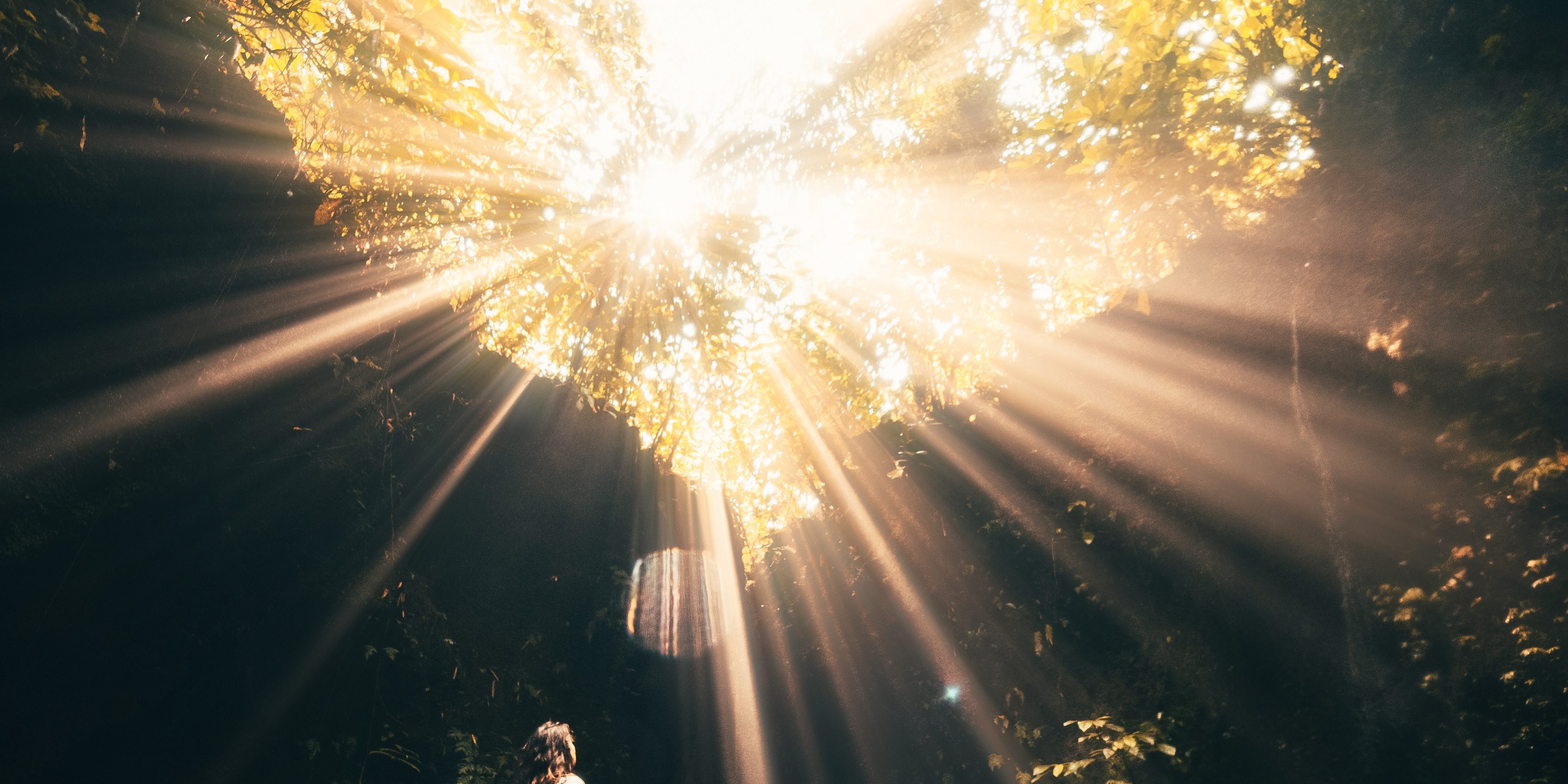 Cómo trascender el ego